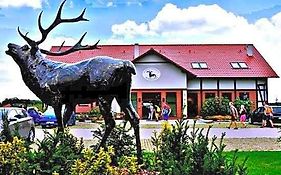Pensjonat i Restauracja Hubertówka